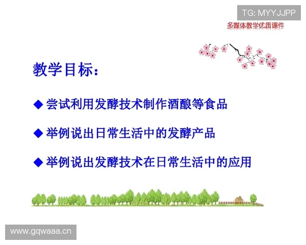 维尔茨是否过度依赖技术流打法